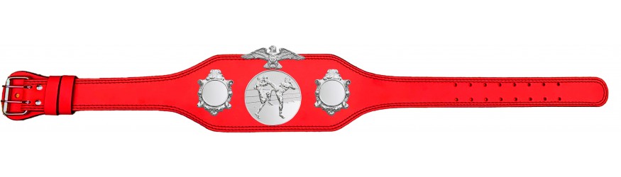 THAI BOXING CHAMPIONSHIP BELT-BUD004/S/TBOS-4 COLOURS